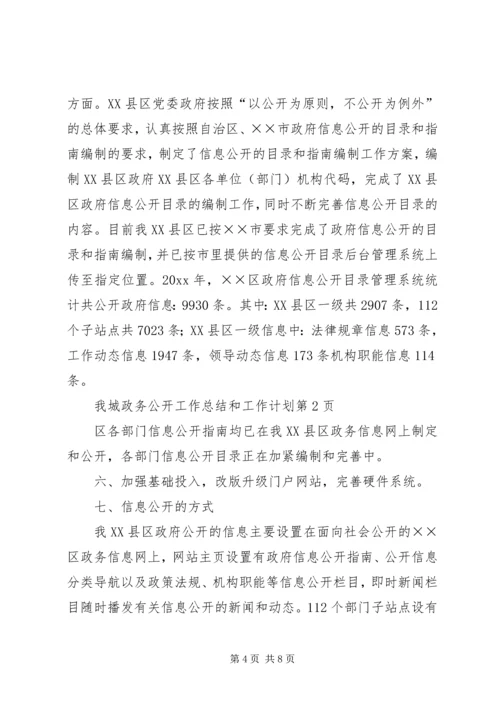 政务公开工作总结和工作计划.docx