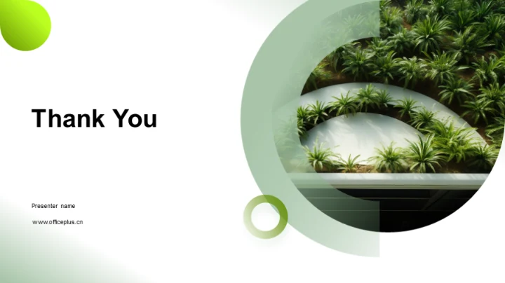 环保之花：可持续种植