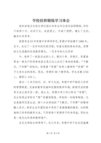 学校挂职锻炼学习体会.docx