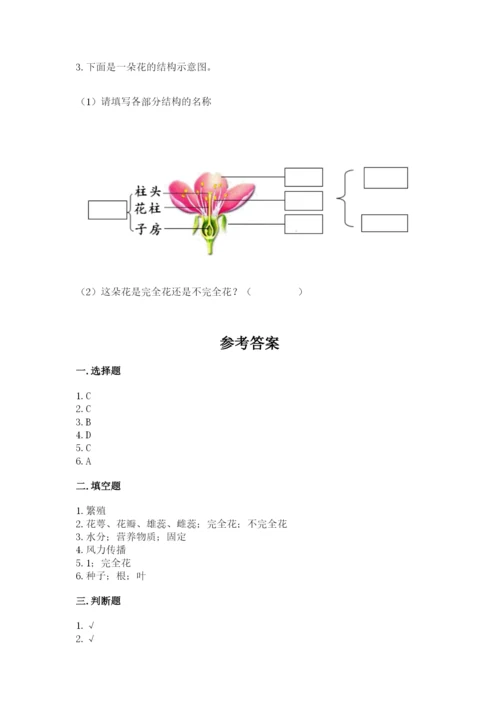 教科版科学四年级下册第一单元《植物的生长变化》测试卷精品【能力提升】.docx