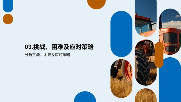 农业项目进展与展望