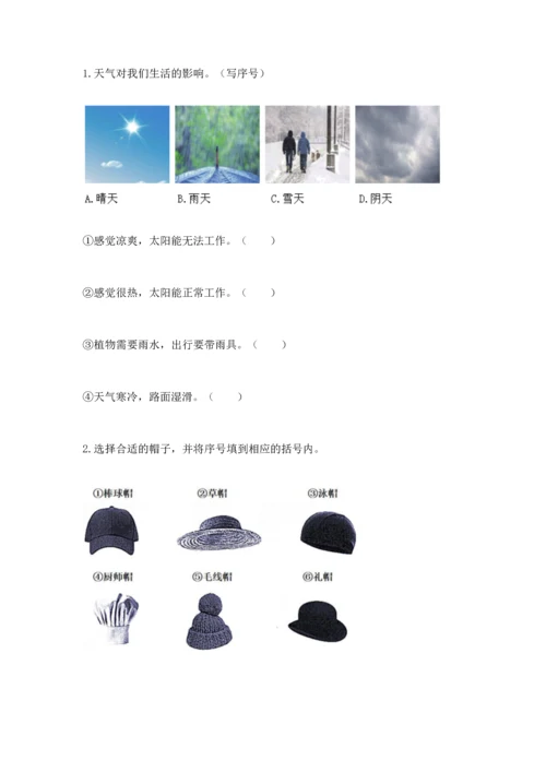 教科版二年级上册科学期末测试卷及参考答案（考试直接用）.docx