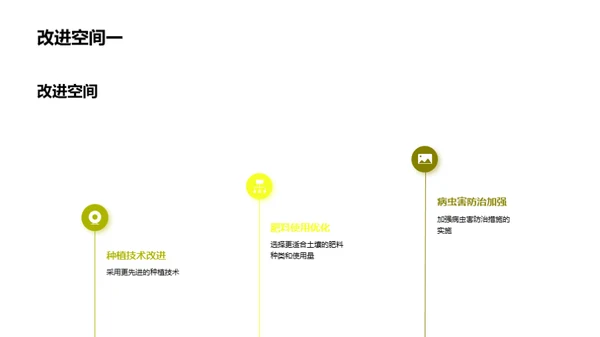 优化玉米种植，挖掘增产潜力