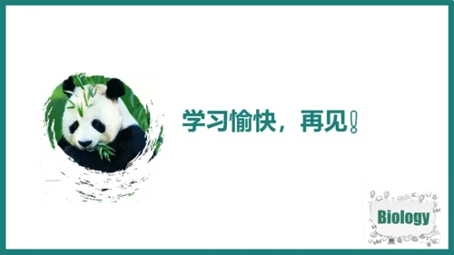 第一单元第三章从细胞到生物体（复习课件）-七年级生物上册同步教学精制课件（人教版2024）(共44张