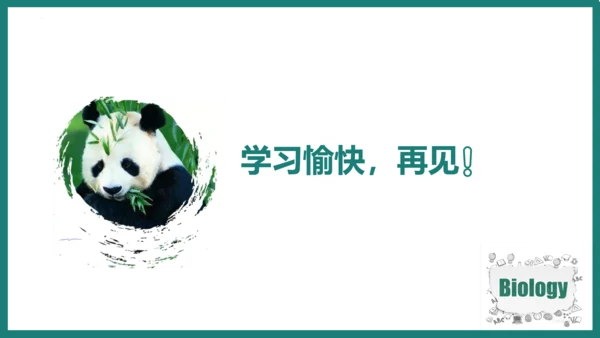 第一单元第三章从细胞到生物体（复习课件）-七年级生物上册同步教学精制课件（人教版2024）(共44张