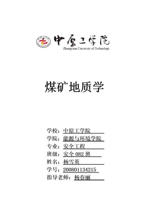 我国煤矿瓦斯灾害的预防对策