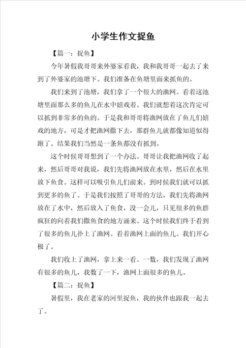 小学生作文捉鱼