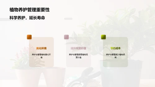 植物养护：小白到专家之路