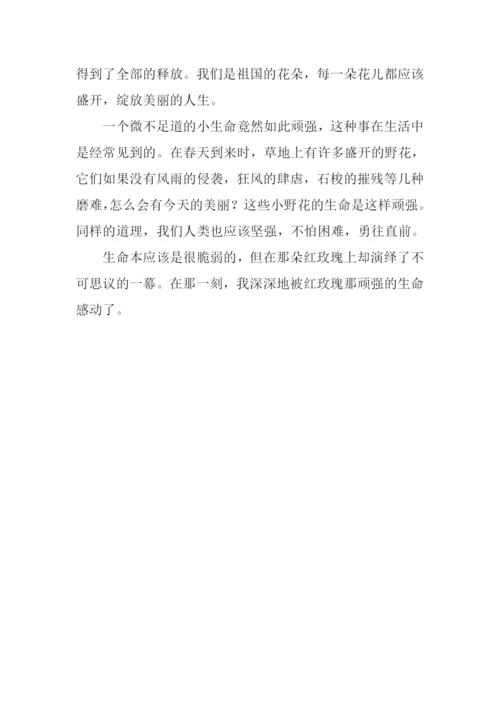 令人感动的生命作文700字.docx