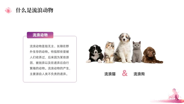 紫红色水彩简约关爱流浪动物宣传教育PPT课件