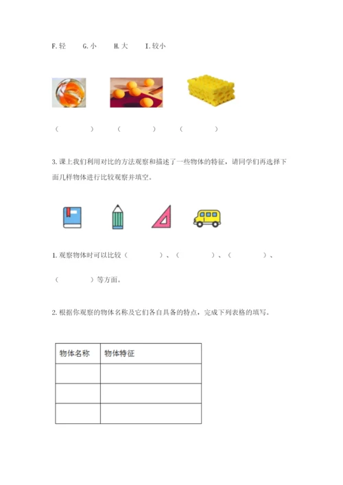 教科版一年级下册科学期末测试卷含答案（巩固）.docx