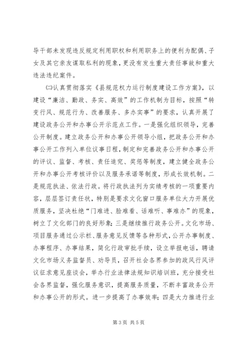 文体局党廉建设年终小结.docx