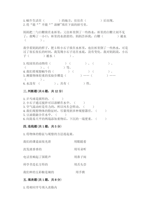 教科版小学科学一年级下册期末测试卷附参考答案（模拟题）.docx