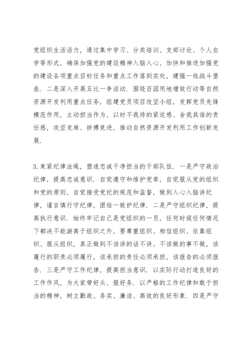 关于开发利用处党支部书记党建意识形态工作述职报告及下一步工作措施.docx