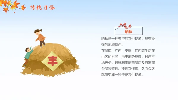 简约插画枫叶立秋二十四节气立秋科普知识科普PPT