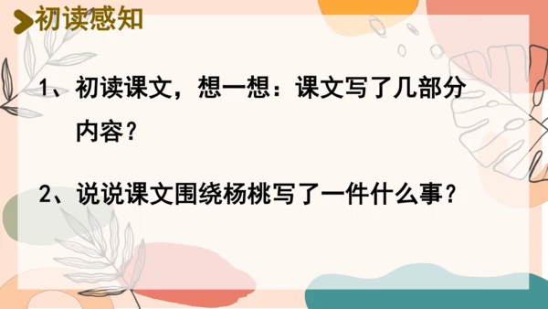 13、画杨桃（第一课时）  课件