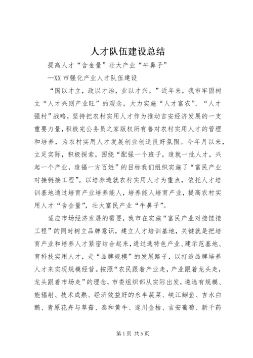 人才队伍建设总结.docx