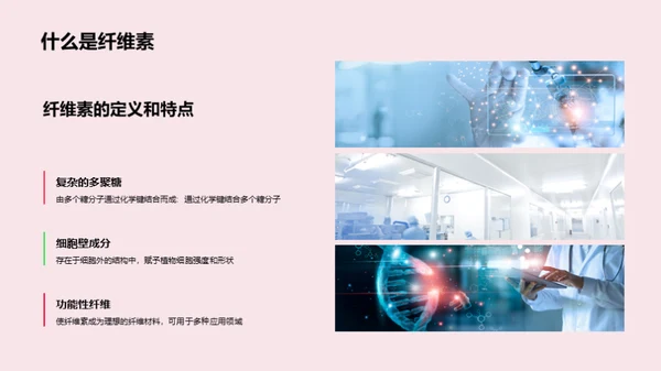 探索生物基化学纤维