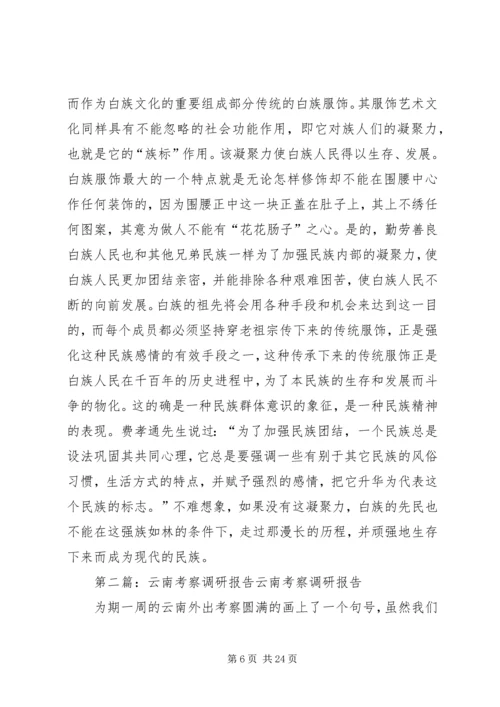云南白族调研报告.docx