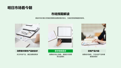 春分营销环境分析报告PPT模板