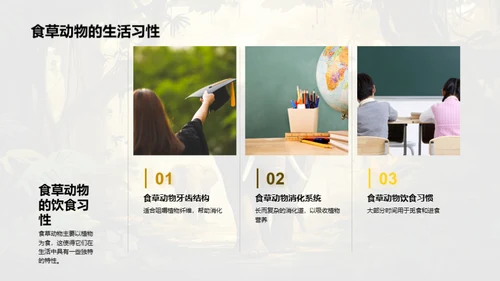 动物世界探索