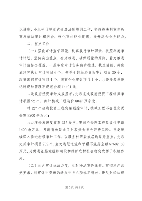 县审计局XX年度法治政府建设情况报告.docx