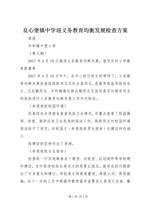 良心堡镇中学迎义务教育均衡发展检查方案 (3).docx