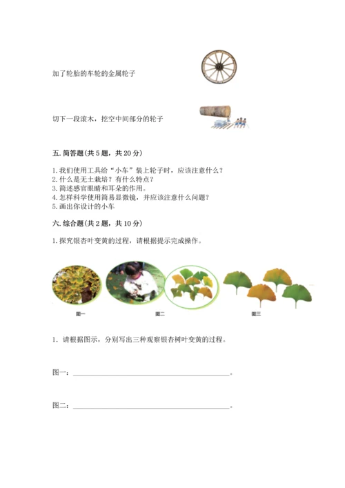 苏教版一年级上册科学期末测试卷（完整版）.docx