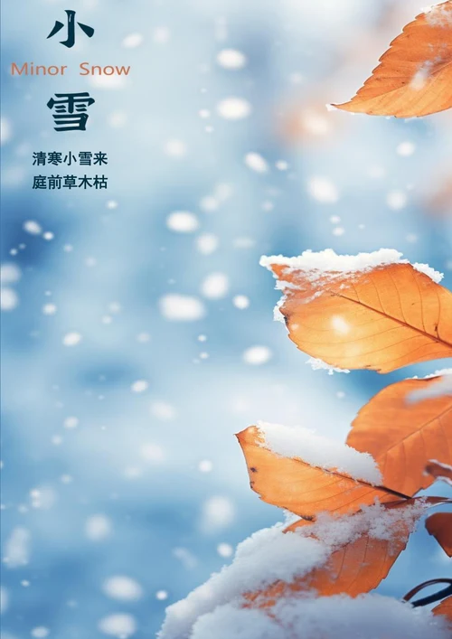 清寒小雪来小雪海报