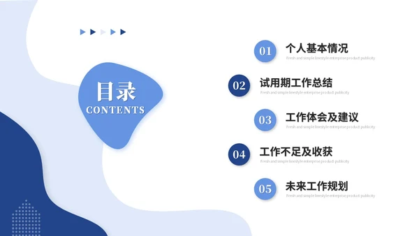 简约试用期转正答辩述职报告工作汇报工作总结ppt模板