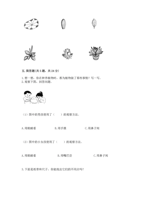 教科版一年级上册科学期末测试卷及答案（精品）.docx