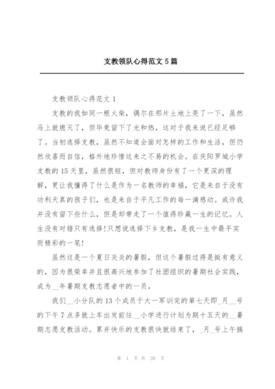 支教领队心得范文5篇.docx