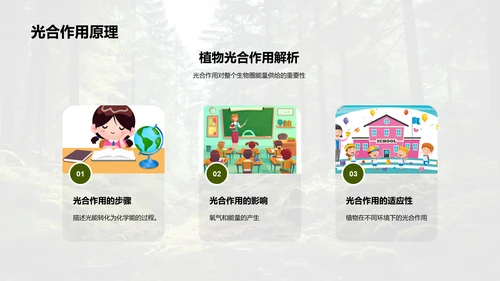 树木的生态密码