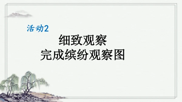 部编版三年级上册语文 习作：我们眼中的缤纷世界 课件