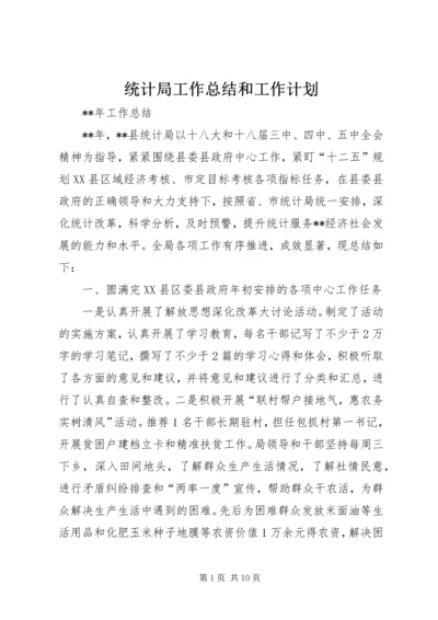 统计局工作总结和工作计划 (2).docx