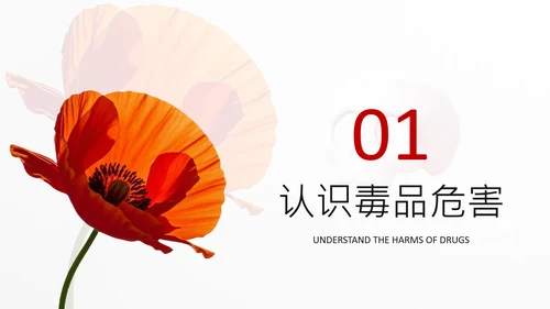 红色简约风远离毒品PPT