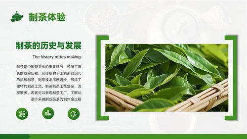 绿色质感风茶乡之旅的生态魅力PPT模板