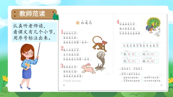 课文6《比尾巴》（教学课件）