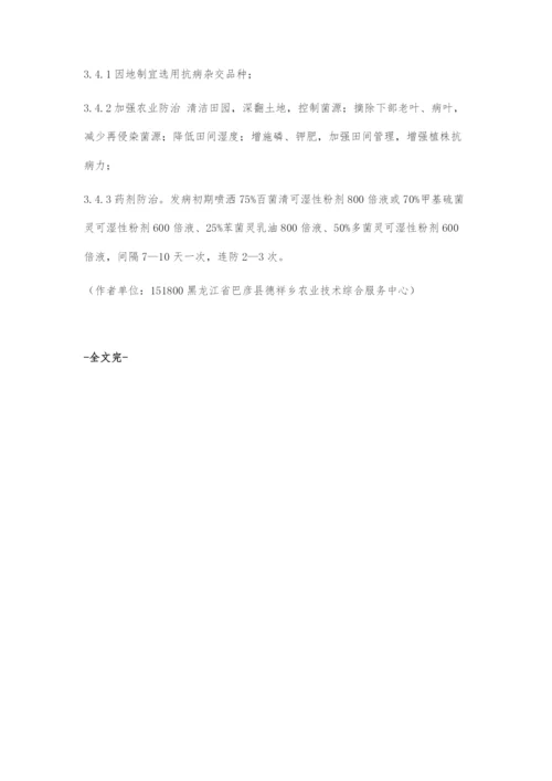 优质高产玉米栽培技术.docx