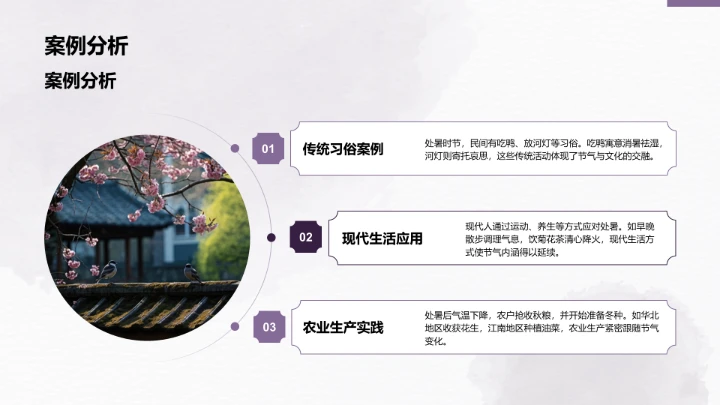 二十四节气处暑PPT模板