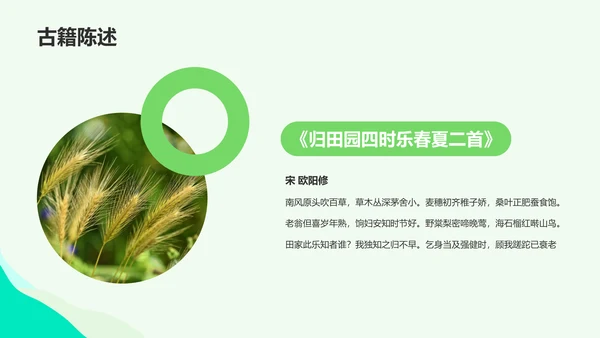 绿色插画小满节气科普培训课件PPT模板