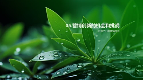 谷雨营销新策略