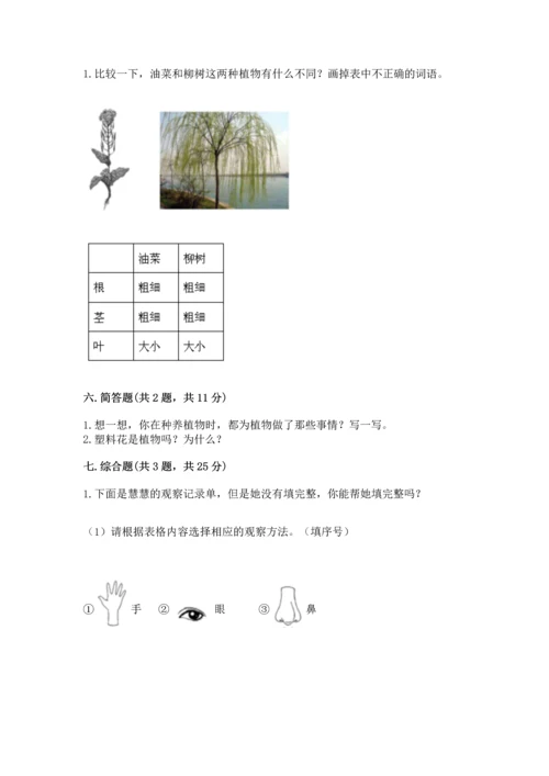 教科版科学一年级上册第一单元《植物》测试卷【实验班】.docx