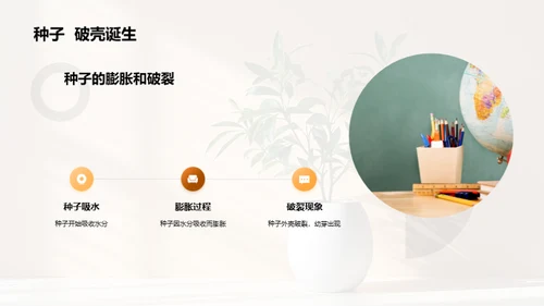 揭秘植物生长奇观