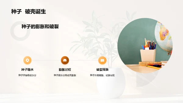揭秘植物生长奇观