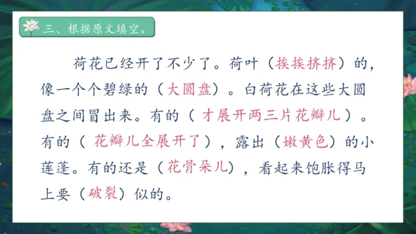 【核心素养】部编版语文三年级下册-3. 荷花 第1课时（课件）