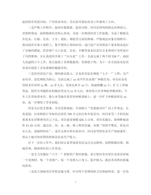 精编之年精准扶贫总结范文精选.docx