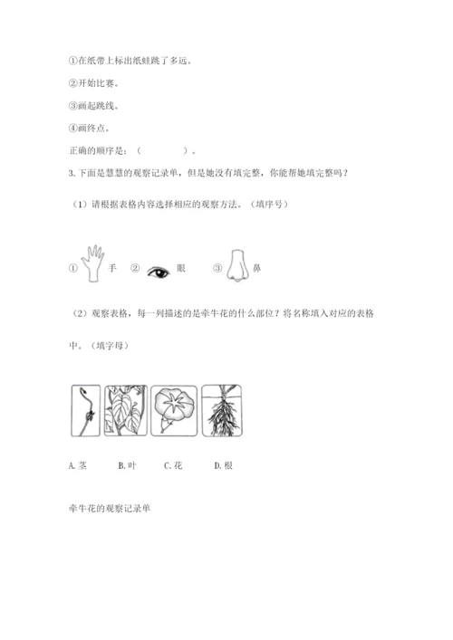 教科版一年级上册科学期末测试卷（考点梳理）.docx