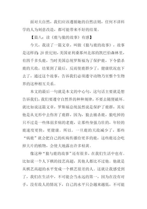 鹿和狼的故事读后感.docx