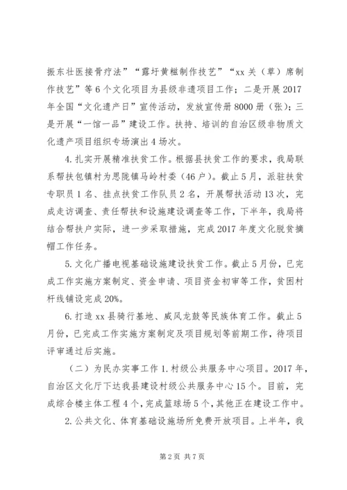 文化新闻出版广电和体育局XX年上半年工作总结及下半年工作计划.docx